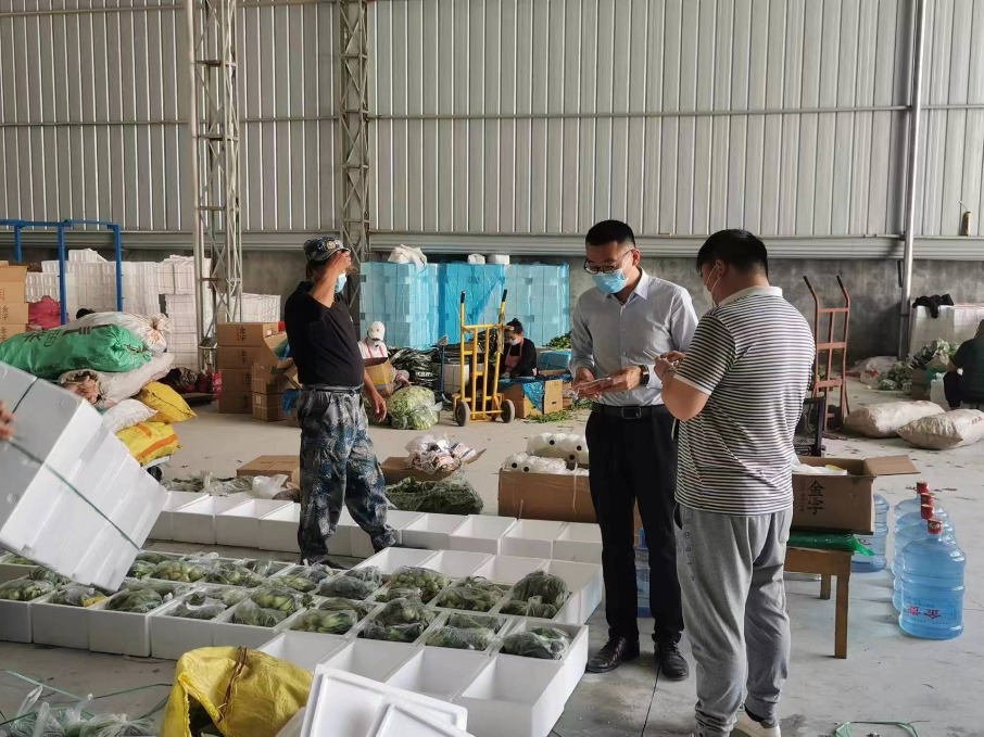 金乡第一书记 疫情防控与助农增收“一肩挑” 业务培训赋能乡村振兴